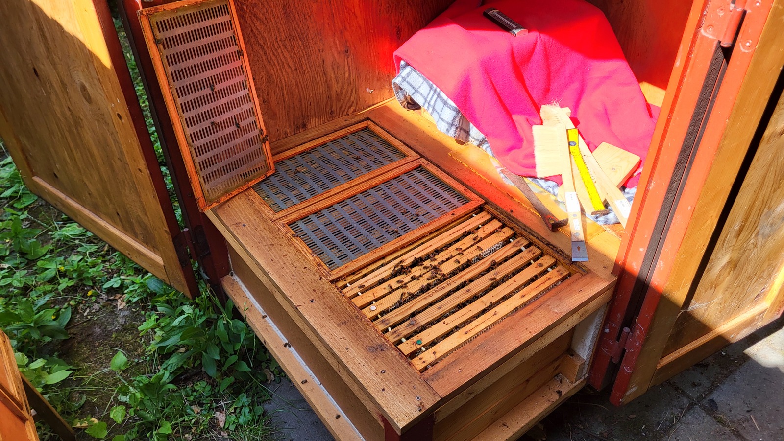 Figure 2: Drottningen kan inte gå igenom spärr-gallret, på så vis hålls honung och yngel separerade